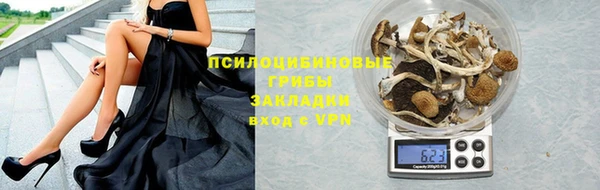 мдпв Протвино