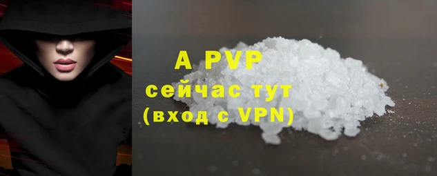 эйфоретик Баксан